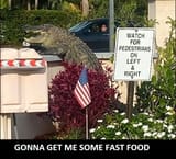 1732981437889870