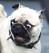 6547