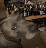 IMG_1889