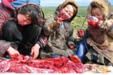 Vegans_making_an_exception