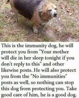 Immunity