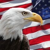 American_flag_company_480x480