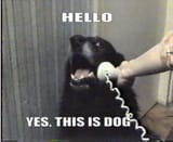 1751534494622834m