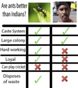 1705853338329395