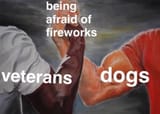 Pussies