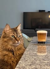 KOTBEVERAGE12