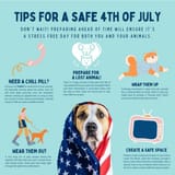 staysafe