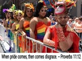 Disgrace of pride