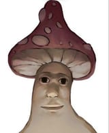 1732385387659754