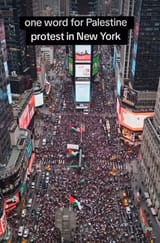 palestine protest