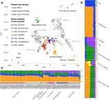 Genetic-map-and-clustering-of-ancient-and-present-day-populations-A-PCA-inferred-from