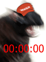 532754871611