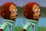 side-eye-monkey