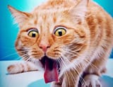 cat-vomiting-350x270