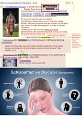 Twitter Disinfo Memeflag