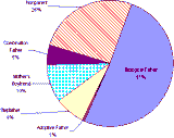 rs-fig1