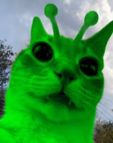 Alien 