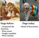 fag dogs 