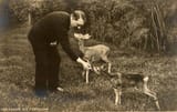 Hitlerfeedinganimals