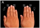 male_female_hands