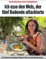 wels-fischbrötchen