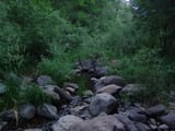 DSC00019