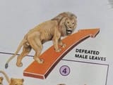 defeatedmaleleaves