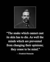 Nietzschequote