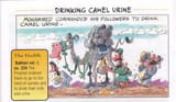 MuhamMAD and drinking camel urine