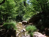 DSC00115 - Copy