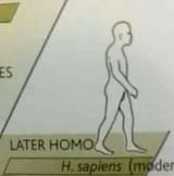 1730625816777169s