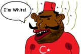 turk white