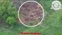 A Ukrainian MiG-29 carried out a precision strike using three GBU-39 bombs on Russian positions north of Polohy, Zaporizhzhia region. 04-07-2025 HD_thumb.jpg