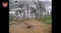 The 46th Airmobile Brigade targetting Russian assault groups with FPV drones and grenade drops. 05-07-2025 P2 NIGGER_thumb.jpg