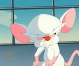 pinky-and-the-brain-original-production-cel-brain-975783