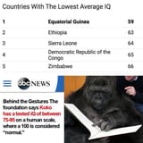 Koko gorilla IQ