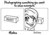 photograph