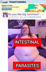back 2 reddit11