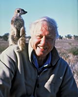 David-Attenborough-2008