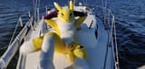 renamon11