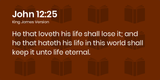 john 12 25