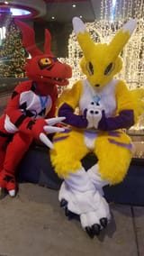 renamon27