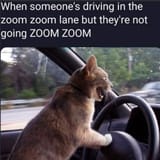 kotzoomzoom