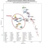 demographics_005