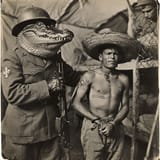 alligatorauschwitz2