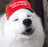 awoo realistic rapid awooing