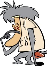 irbaboon