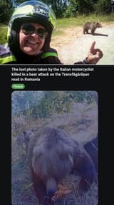 burrs