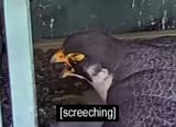 1743190589808915