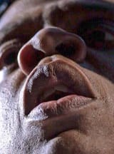 APE-Z-nigger
